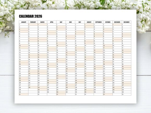 Download 365 Days 2026 Minimalist Calendar - Premium Bundle